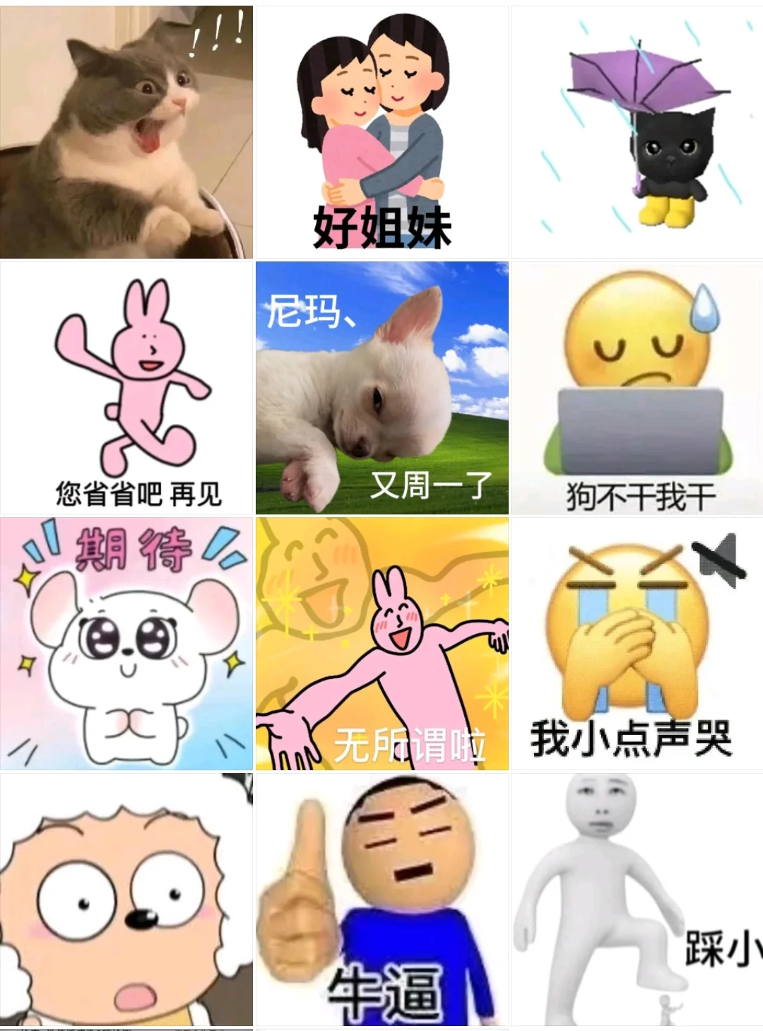 表情包分享|好姐妹、好姐妹