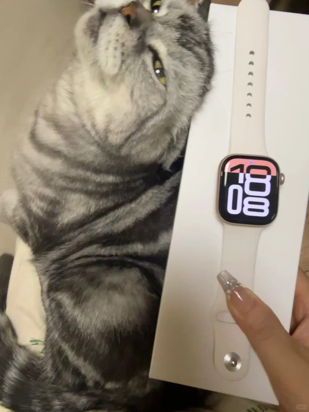 直男的礼物