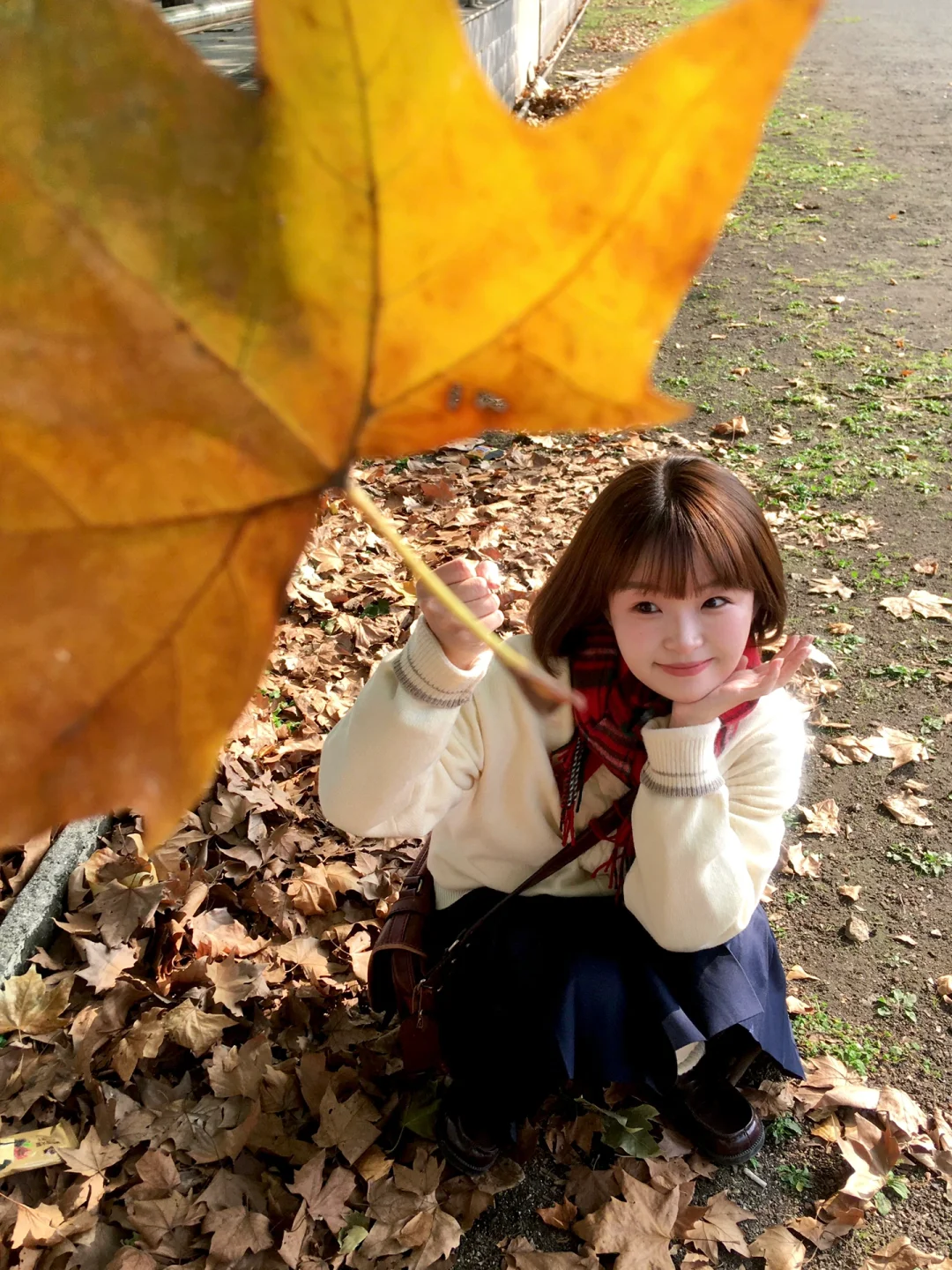 ٩(ˊᗜˋ*)و好喜欢iphonexr拍出来的生命力!!🍁