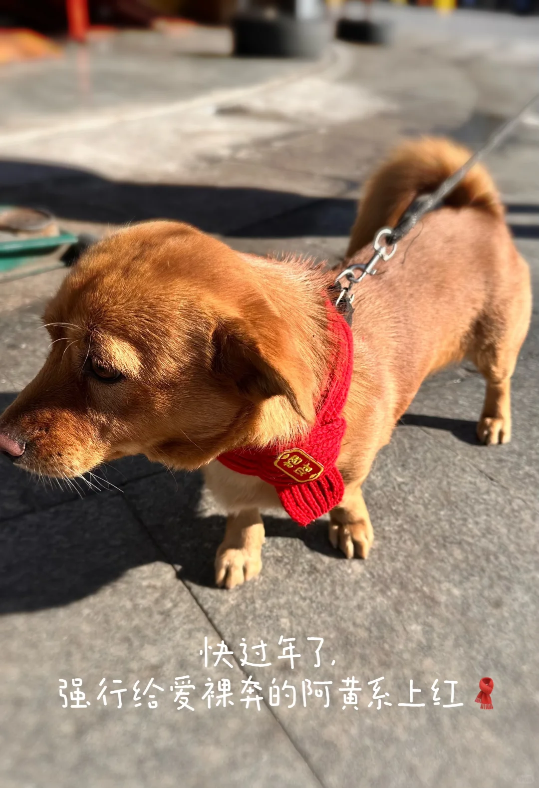 在三九天的大风里聊13km的天,是啥感觉?