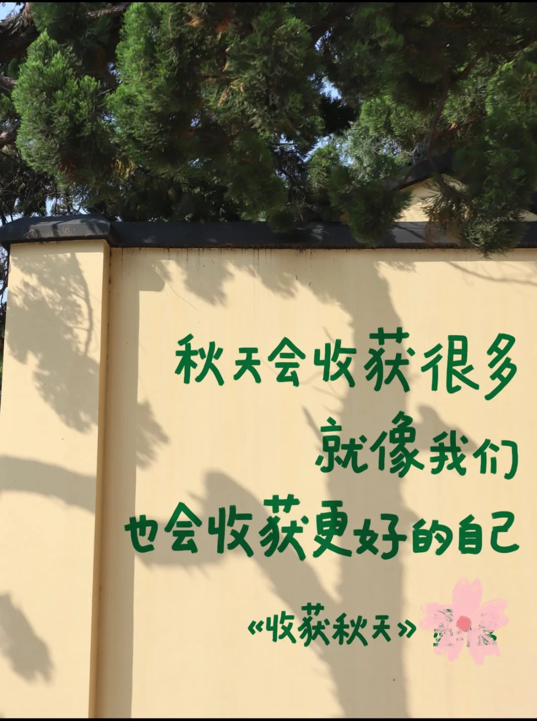 9月收官|奔跑在热爱里 永远闪闪发光🌟