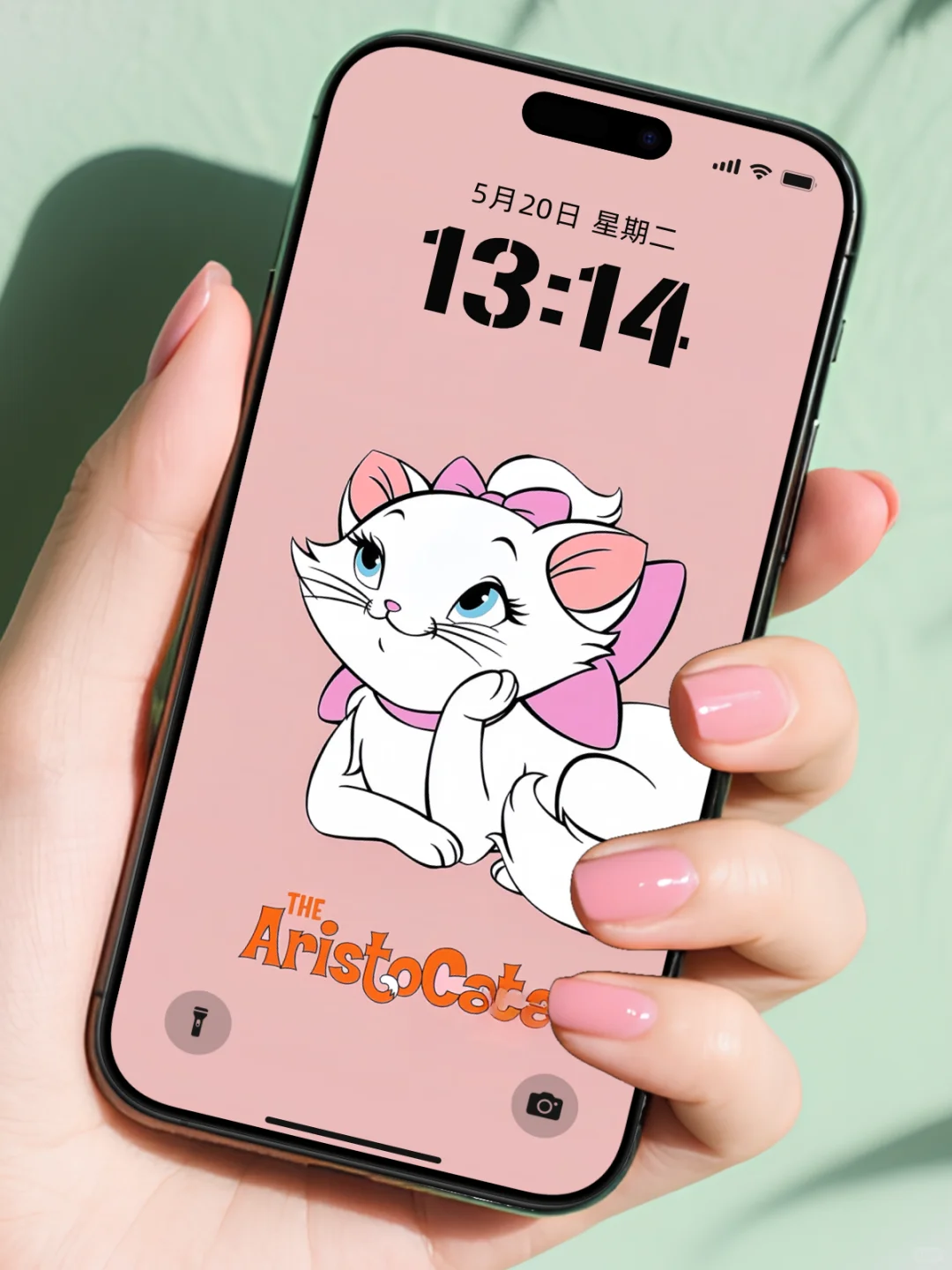 今日壁纸|玫瑰花束