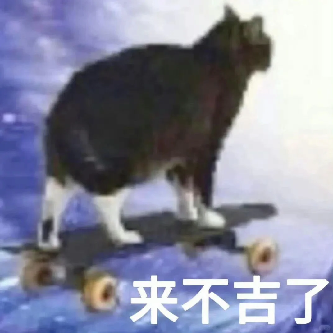 有趣的小猫表情包