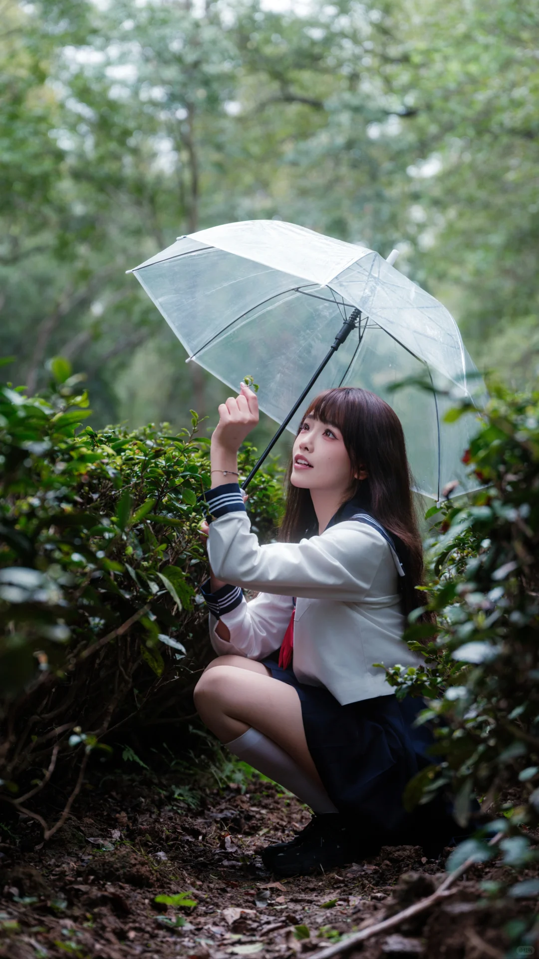 茶园白丝jk