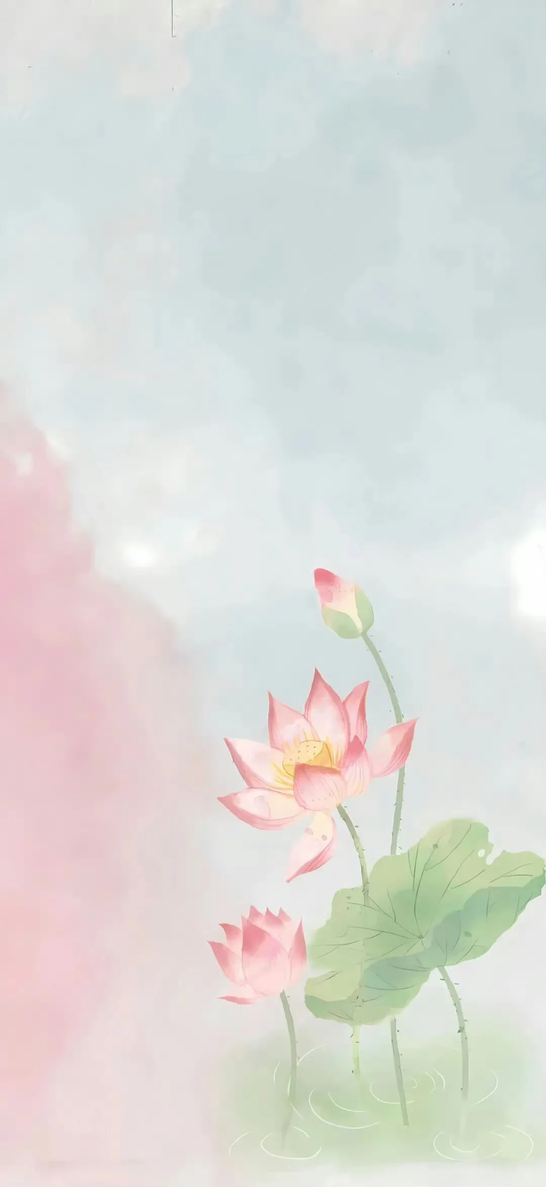 🤩国风美学~