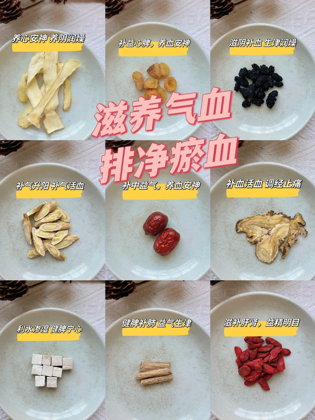 28天养好姨妈,女神提升好气🩸的小方方