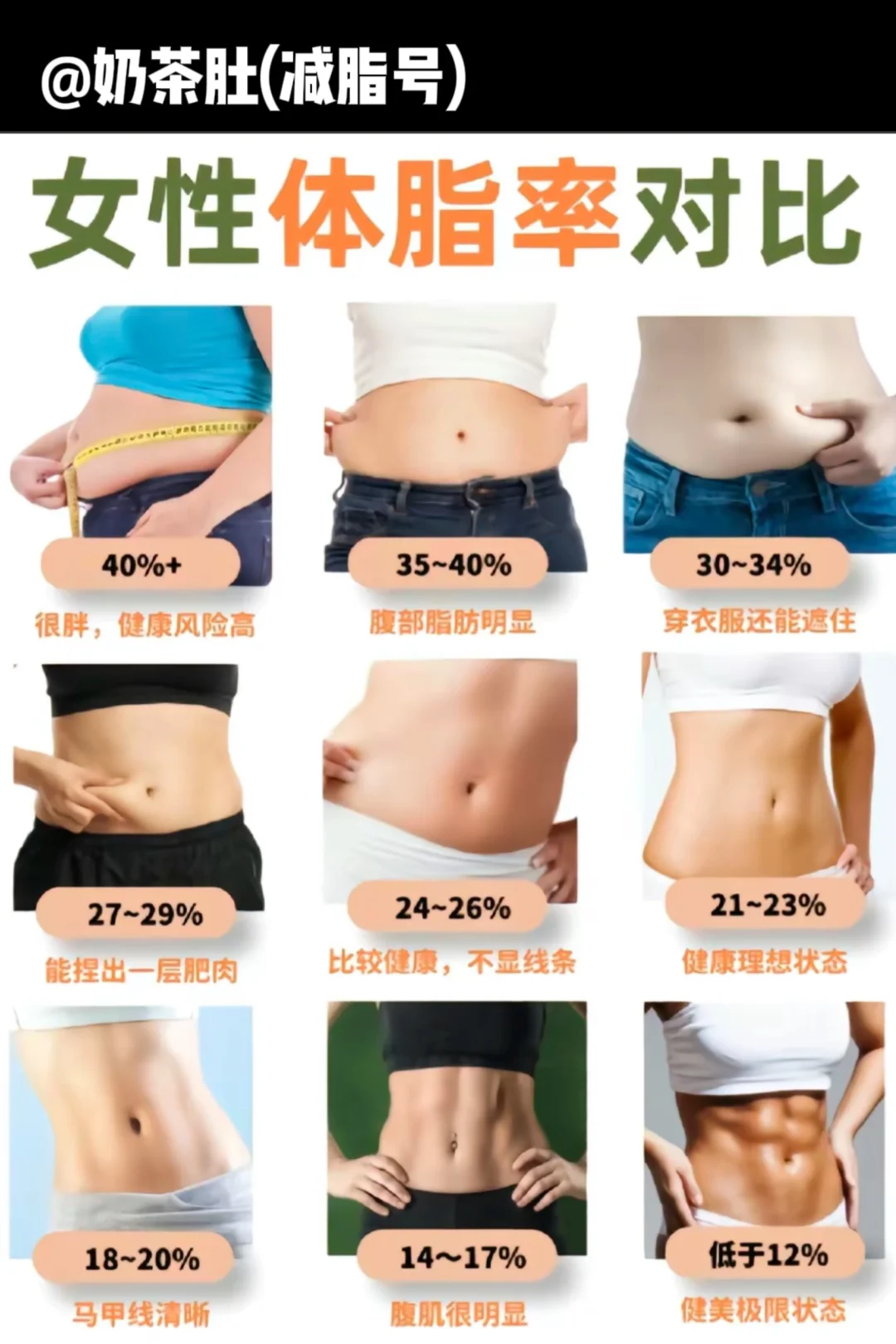 看图估算体脂率