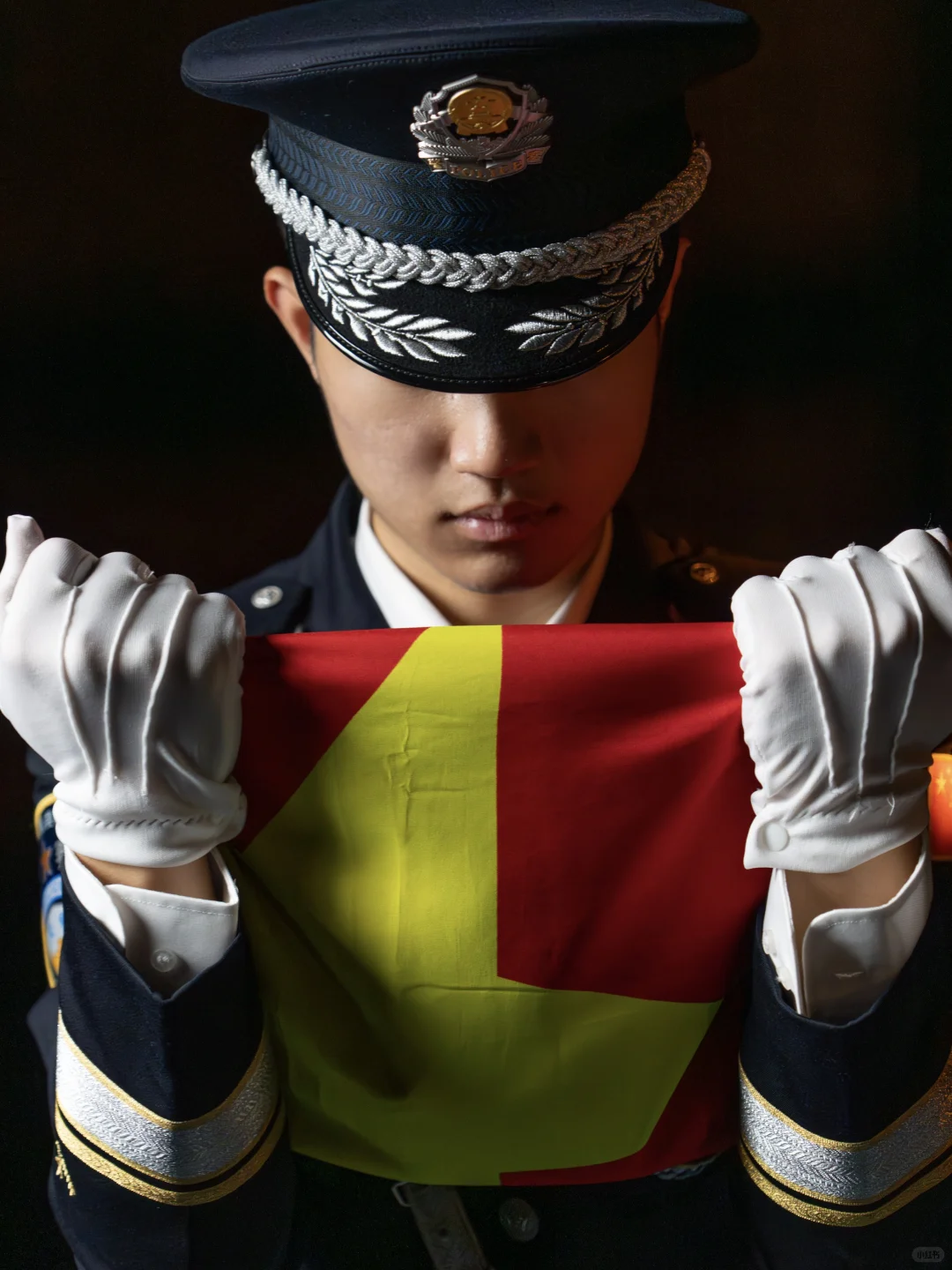 人生生日照