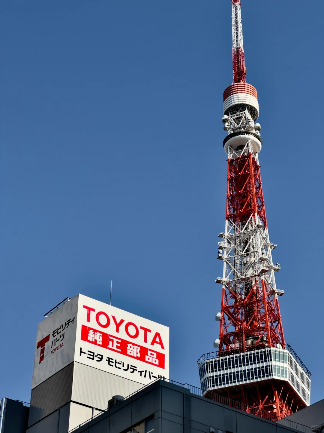 Tokyo Tower🗼