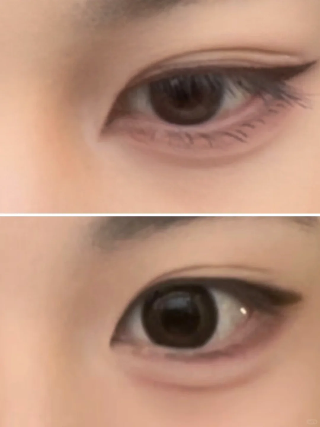 狐狸眼和狗狗眼哪个好看一点?
