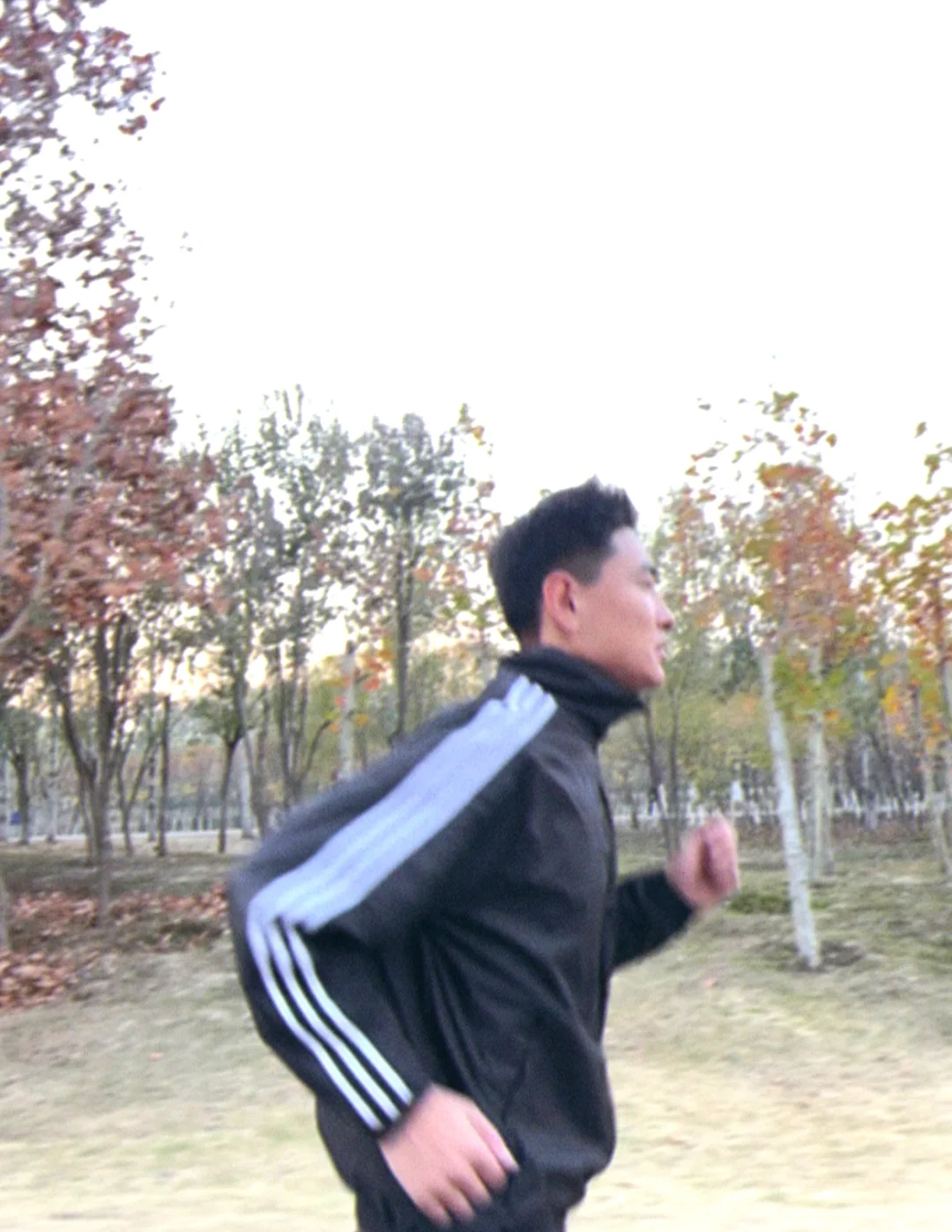 🍁秋风作伴,跑向自由