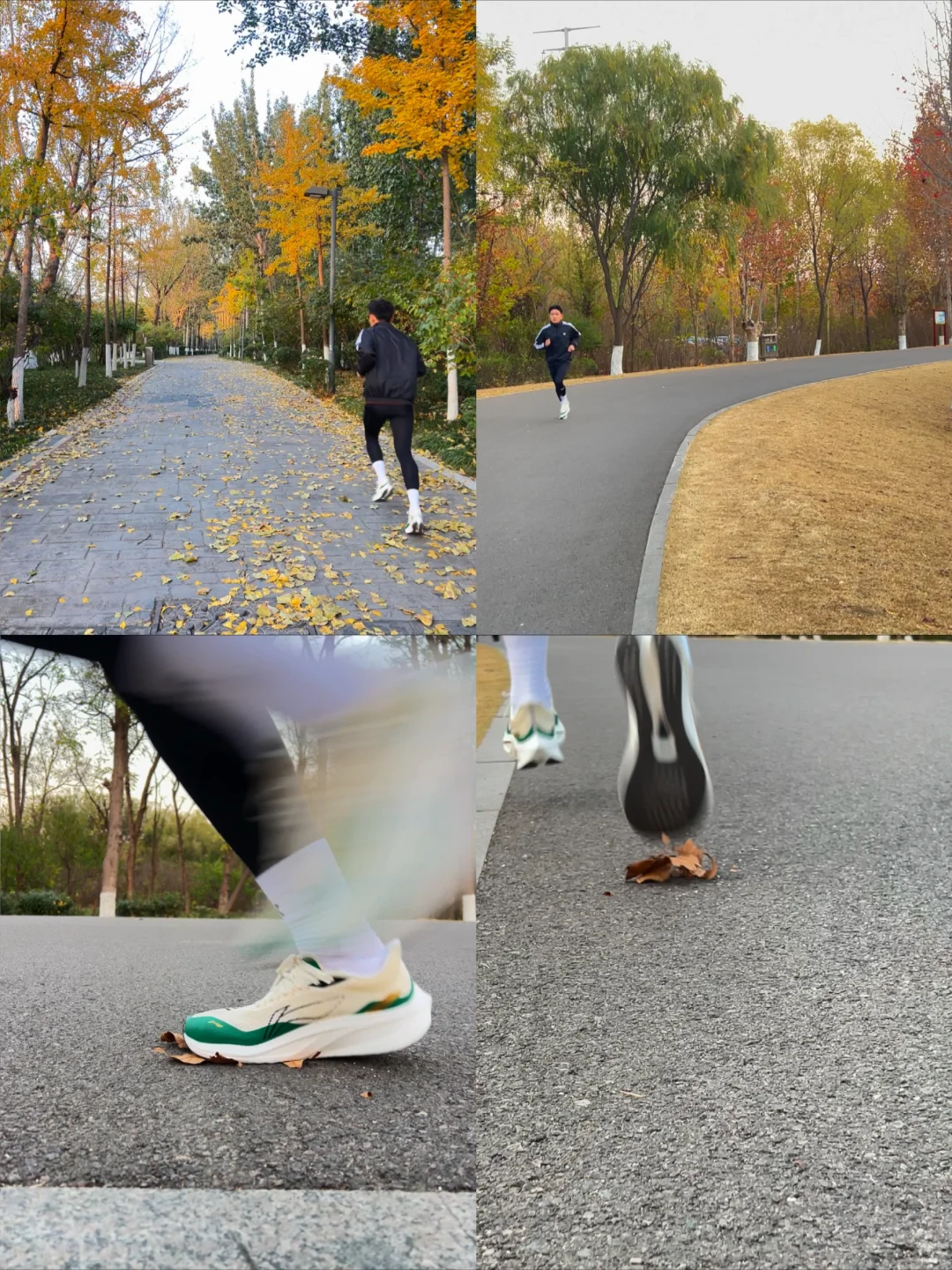 🍁秋风作伴,跑向自由