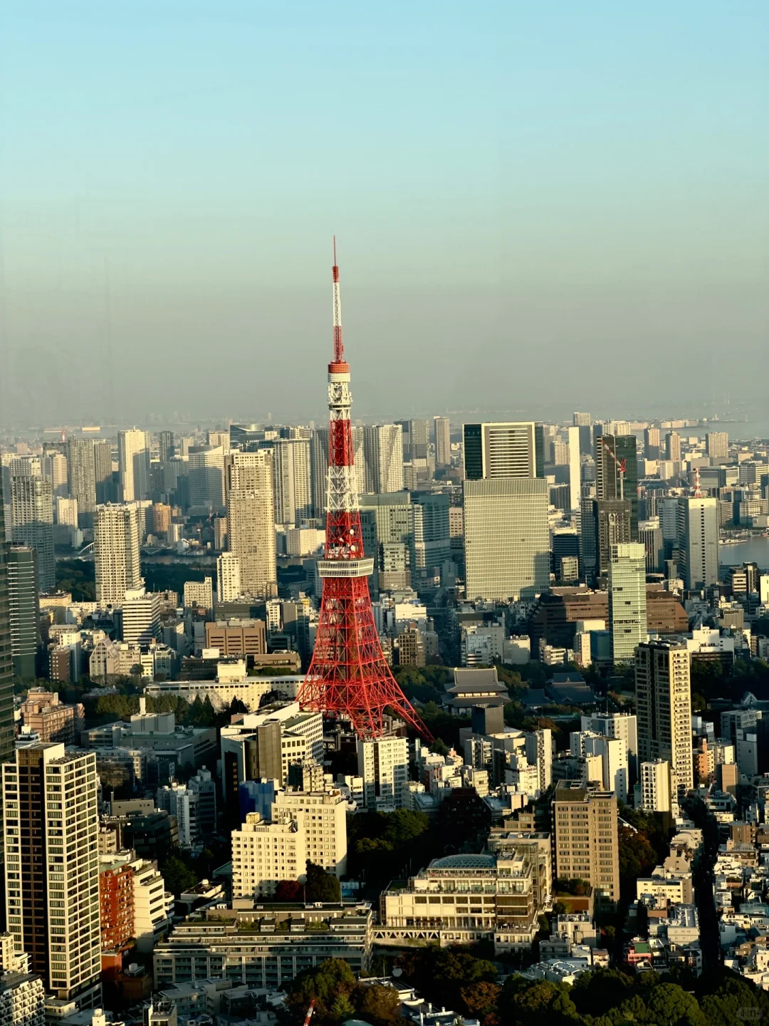 Tokyo Tower🗼