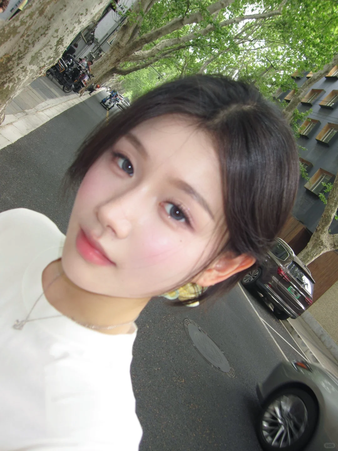 又水灵灵的出片啦-图文版