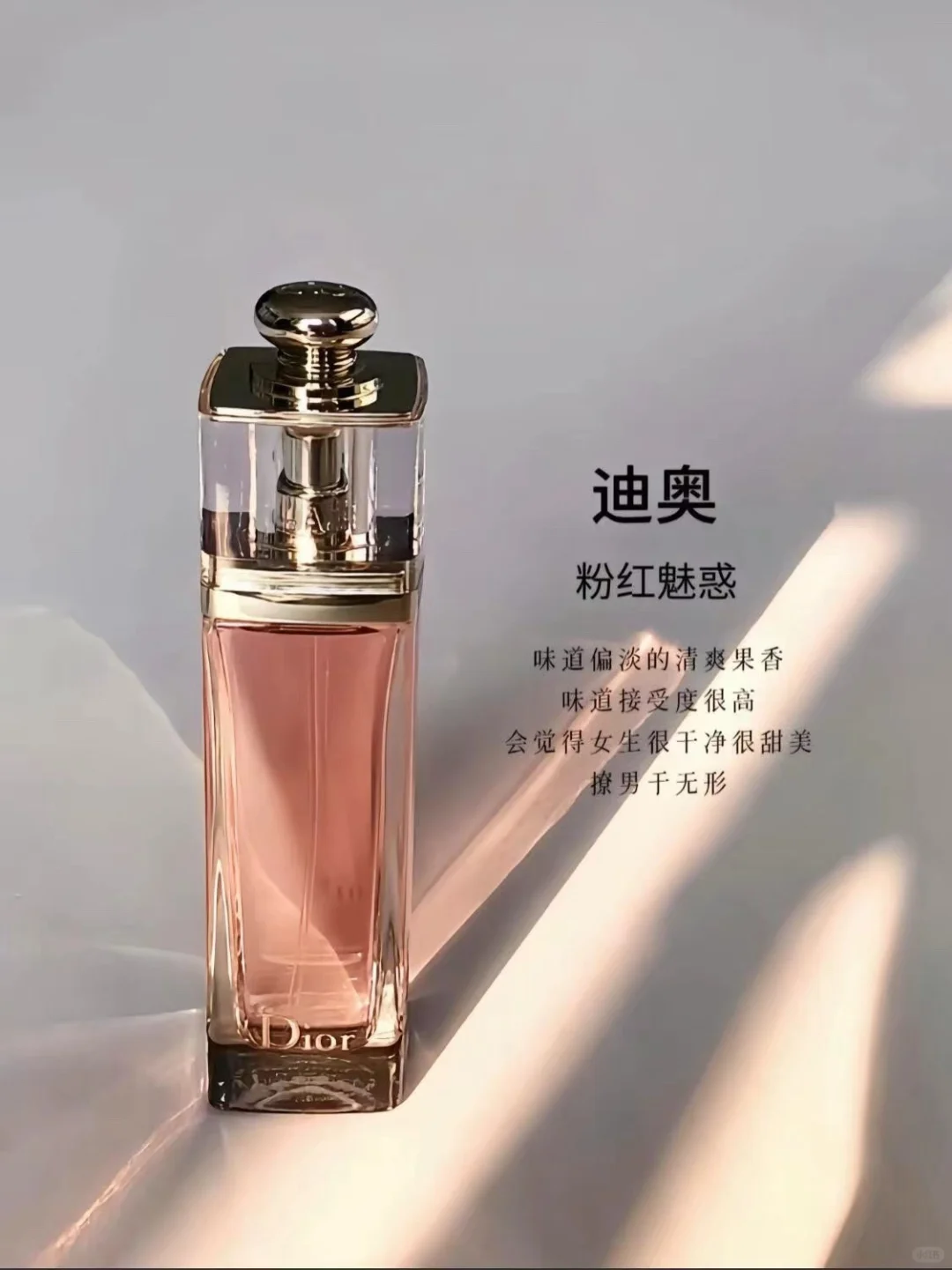 迪奥 粉红魅惑
