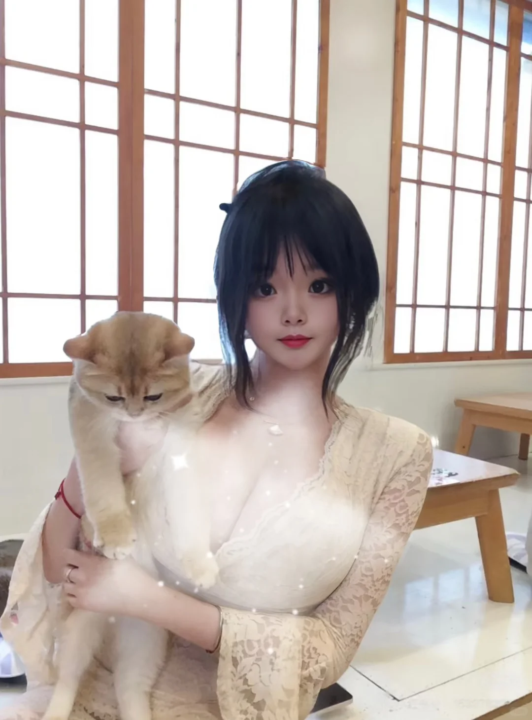 和小猫猫📷、好可爱呀