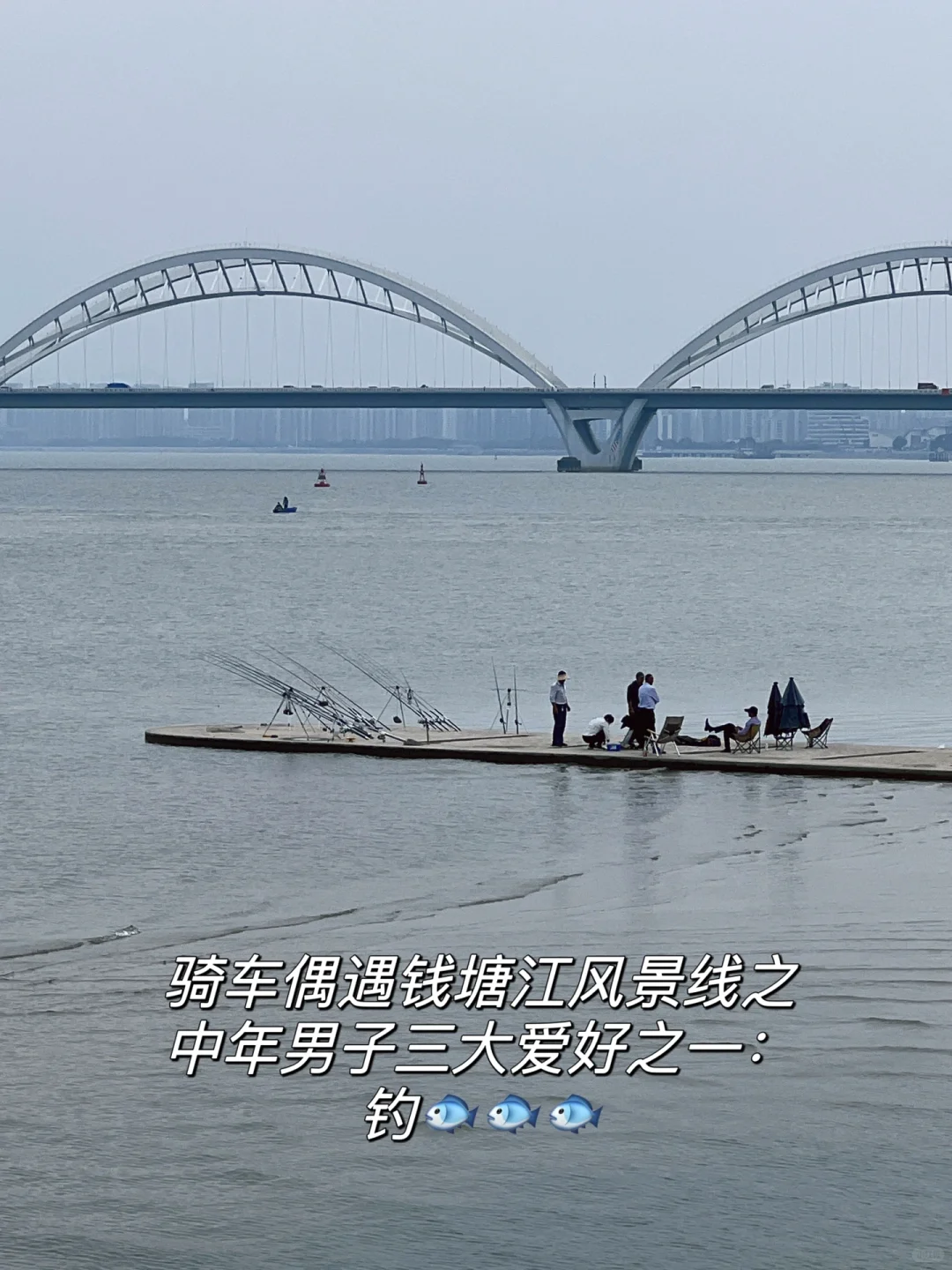 杭州钱塘江骑行|在夏天的风里感受生命力🫧