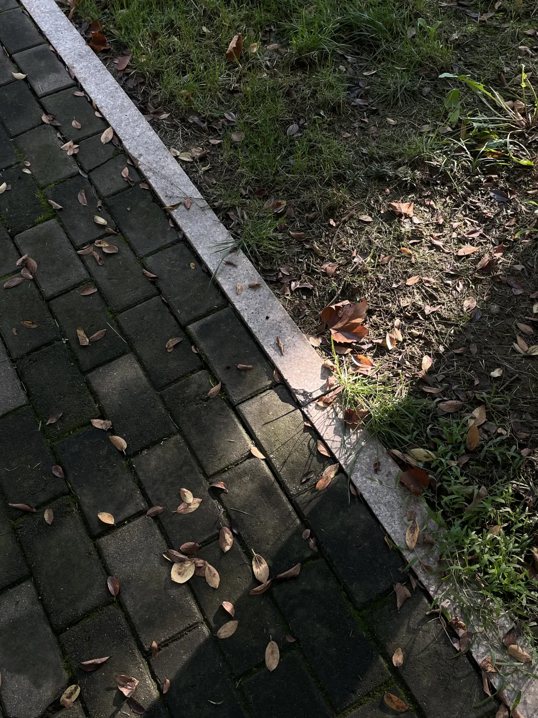 突然觉得纯欲风很可怕。