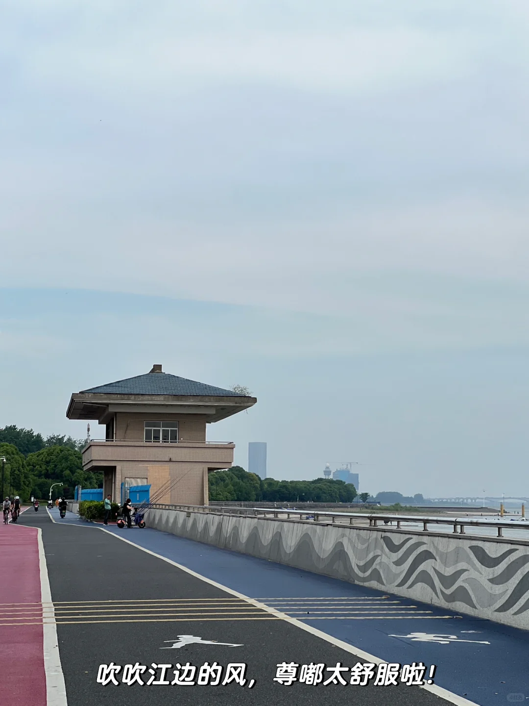 杭州钱塘江骑行|在夏天的风里感受生命力🫧