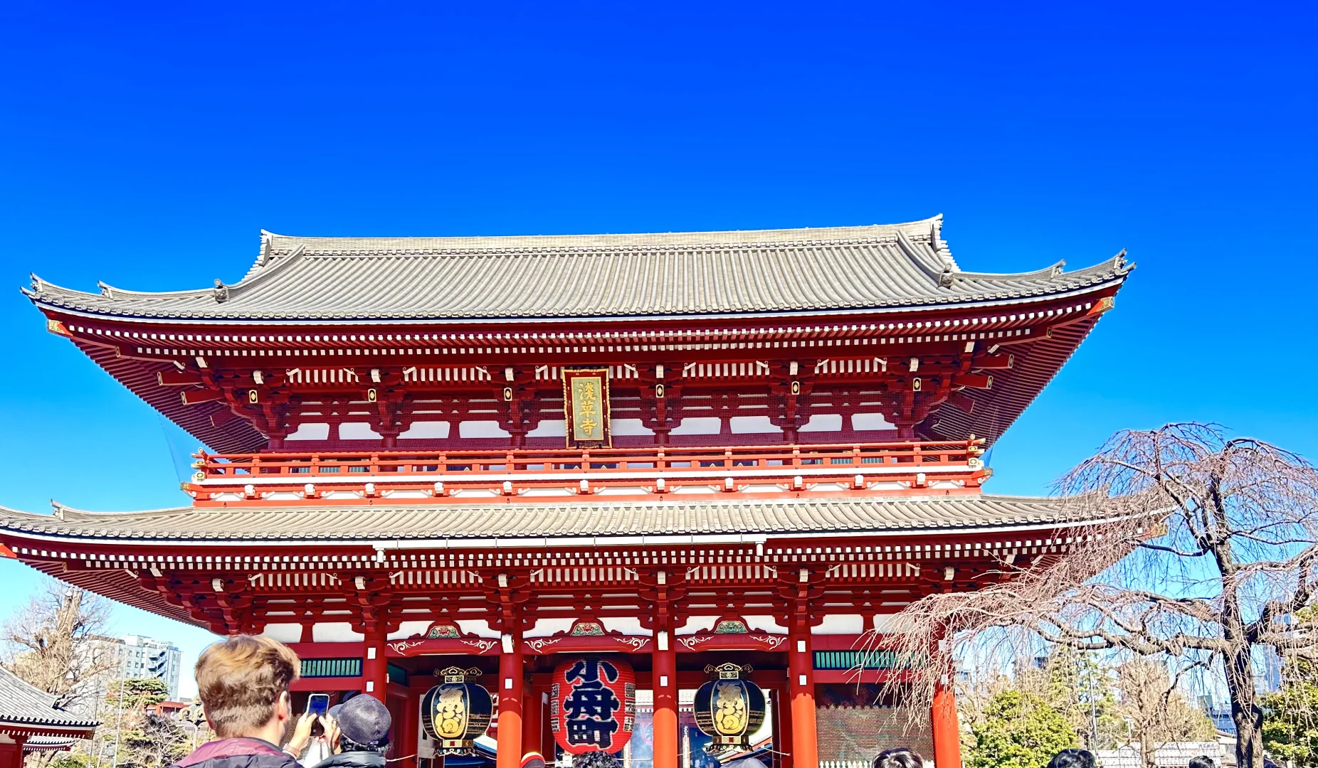 日本特定技能-贴壁纸工报名中