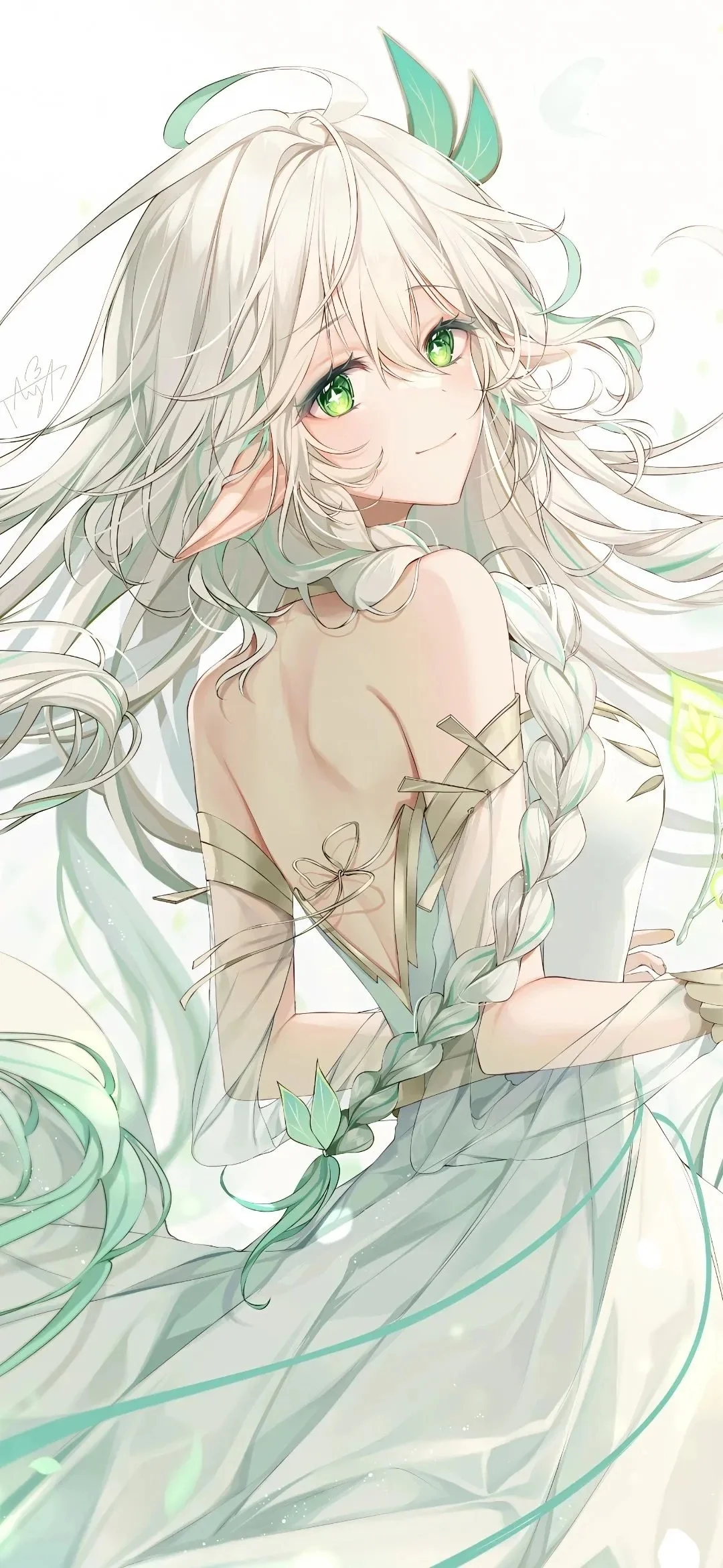 夏与风