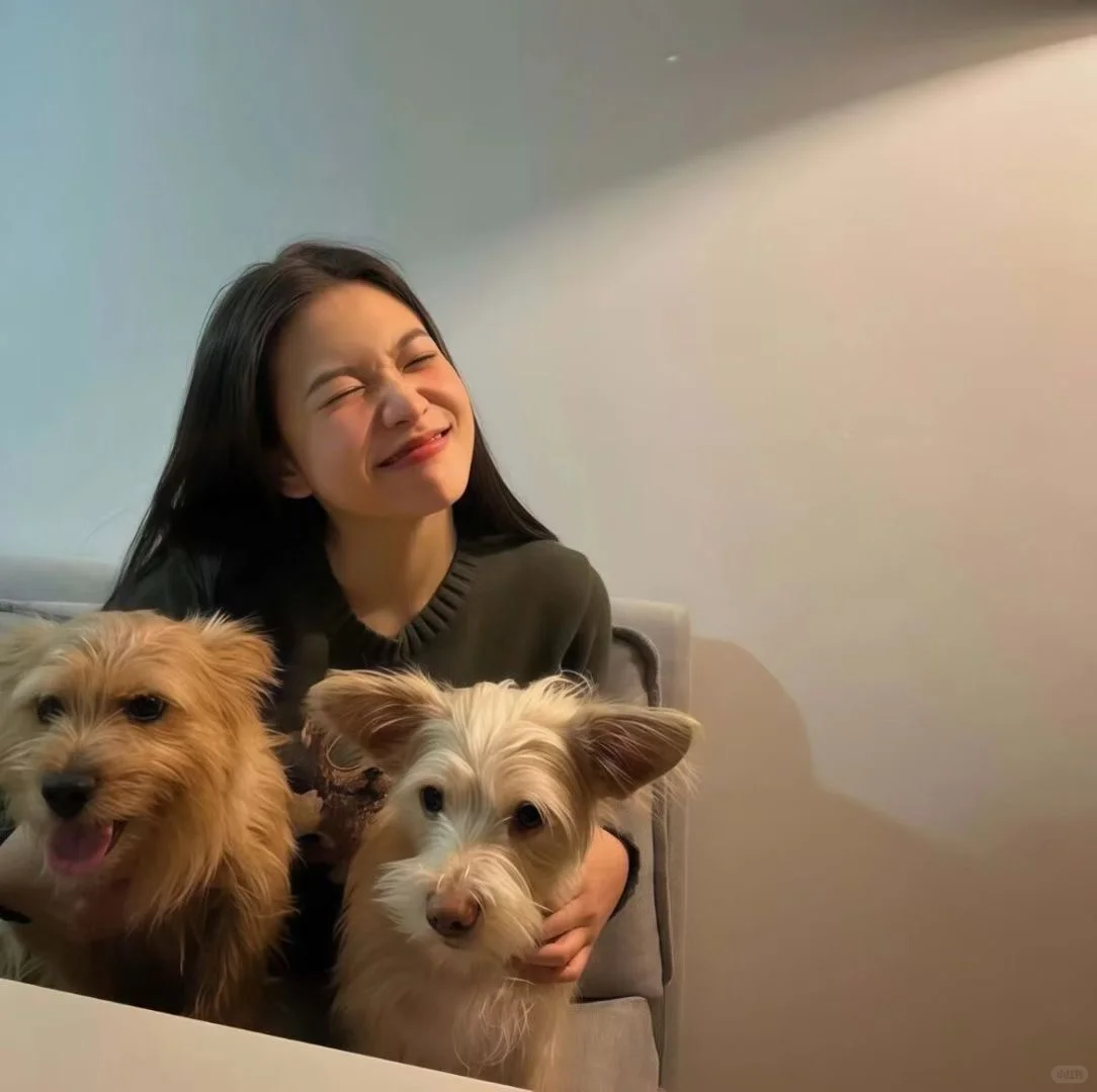WeChat头像丨我好像找到了人生头像