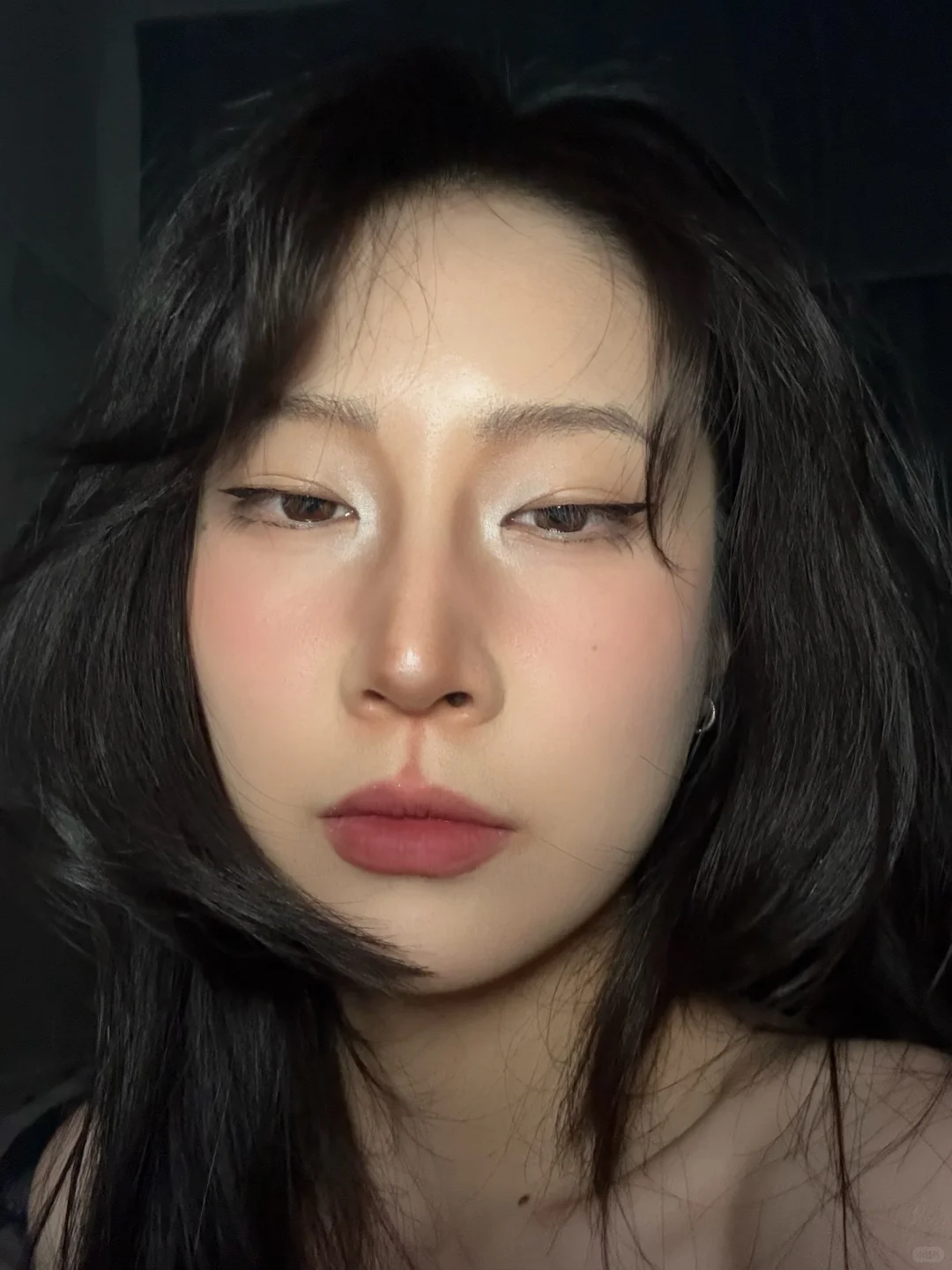 狼系狐狸