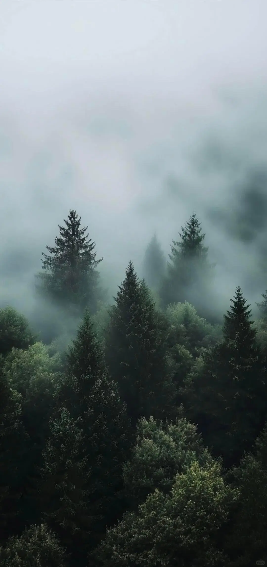 𝑺𝒉𝒂𝒓𝒆 | iOS26景深壁纸