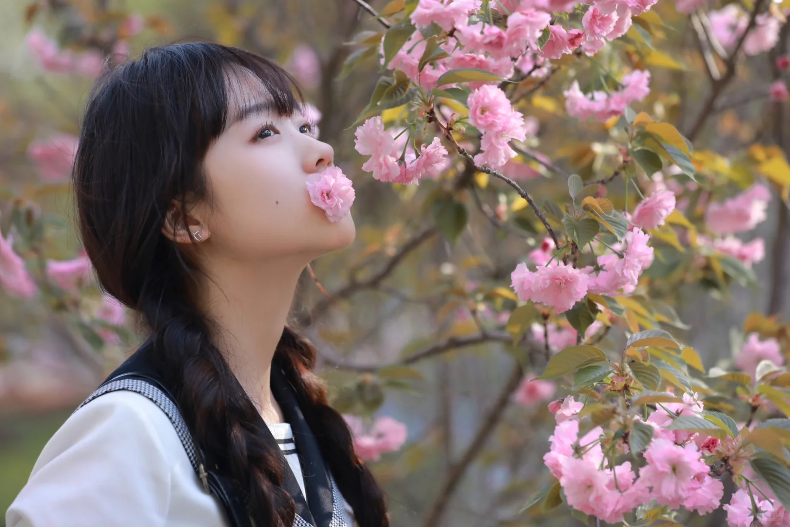 jk制服樱花写真|保姆级樱花🌸拍照姿势分享