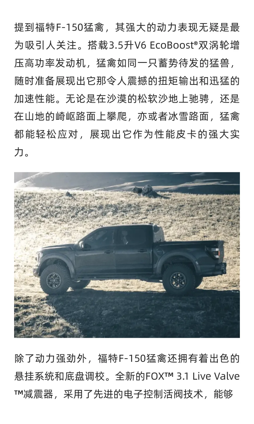 独领风骚,福特F-150猛禽赛级性能之选