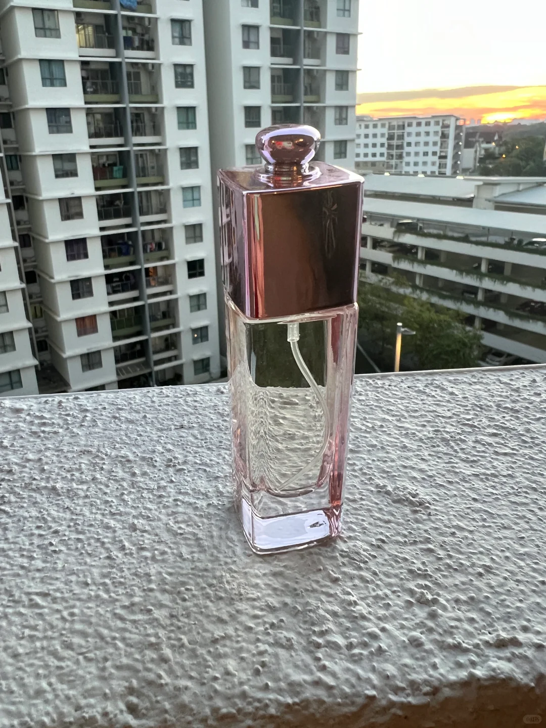 🌹我今天被搭讪了