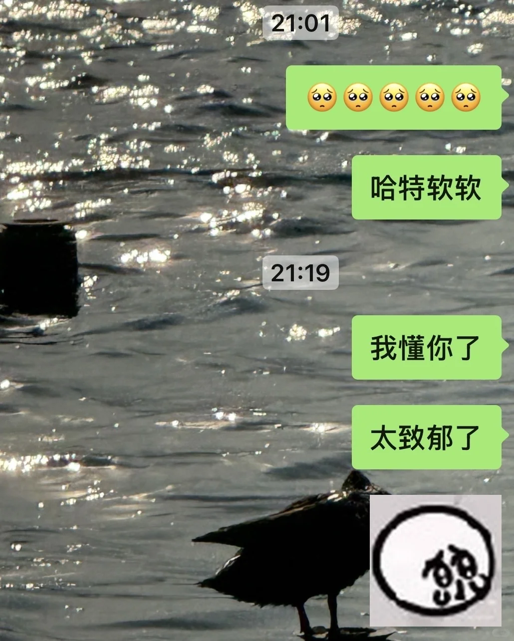 我看风骚律师: