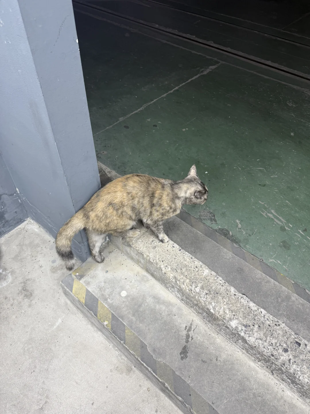 愉快的早上 女大第一次拍写真~