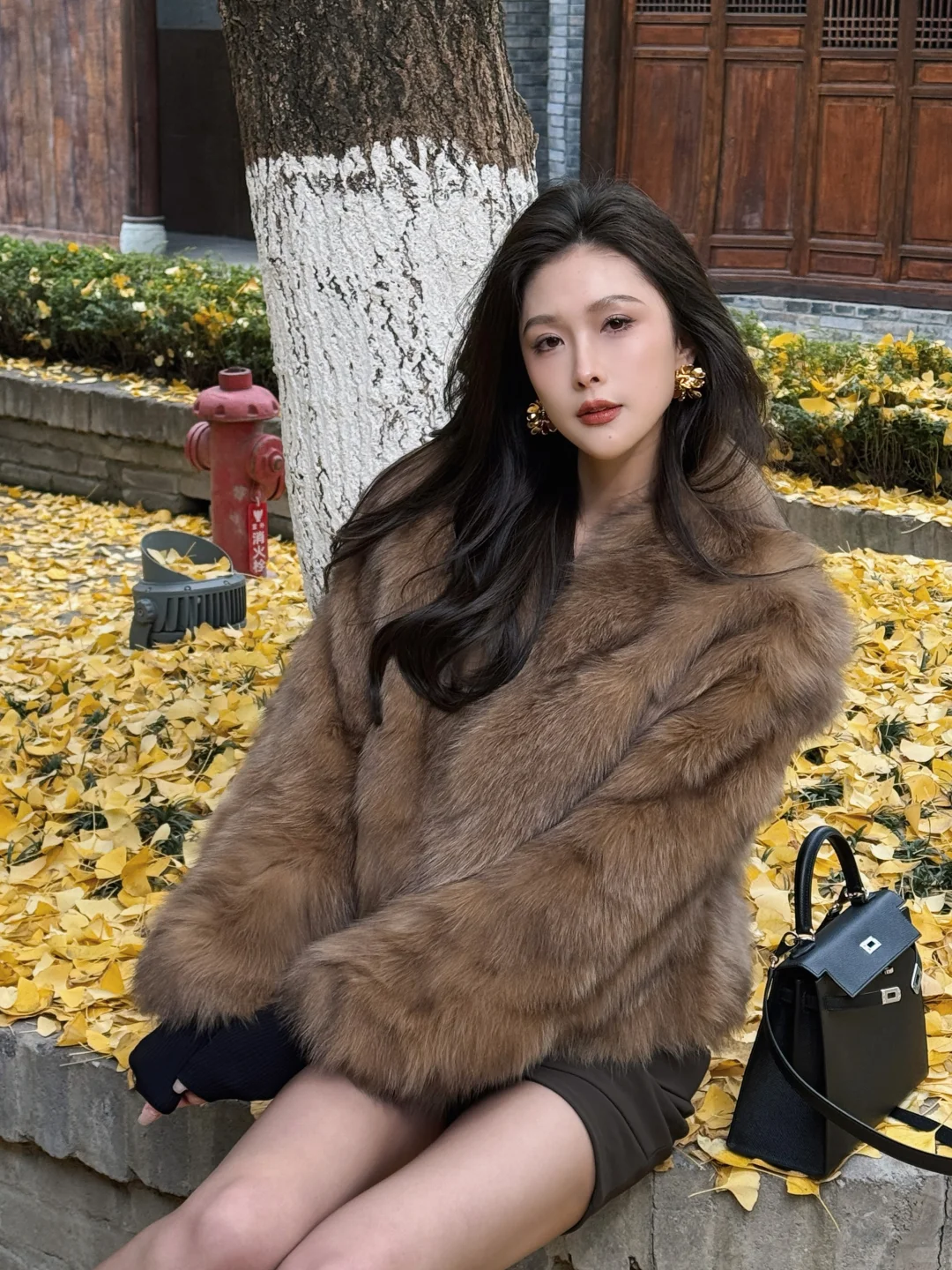 偶遇一片超美银杏地🍂