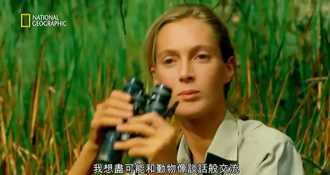 珍·古道尔的传奇一生