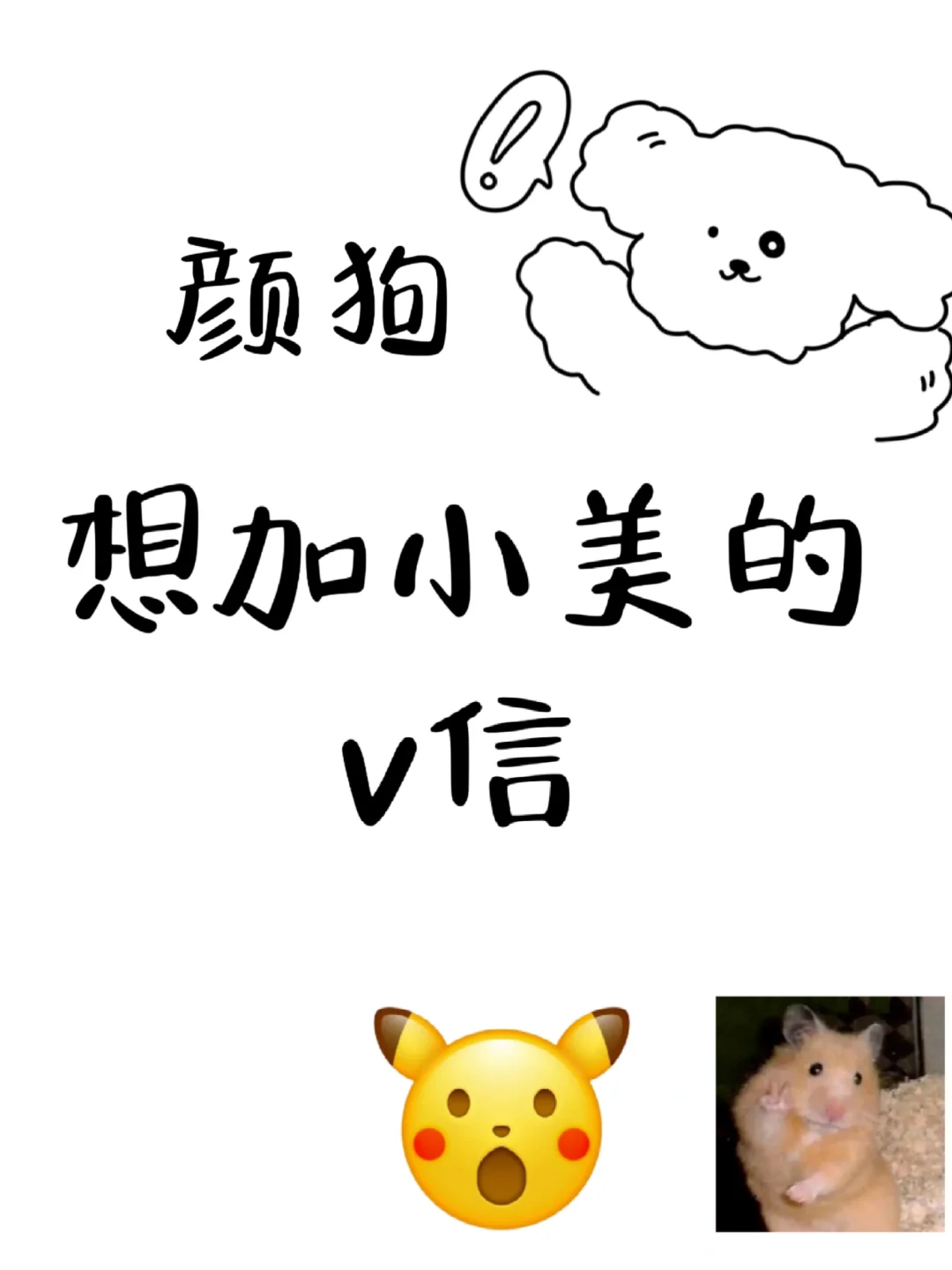 想看小美的朋友圈