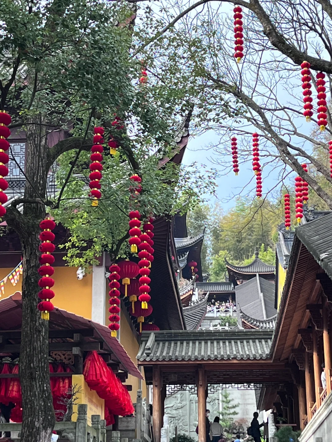 Wechat|📿莫向外求 但从心觅 📍灵隐寺
