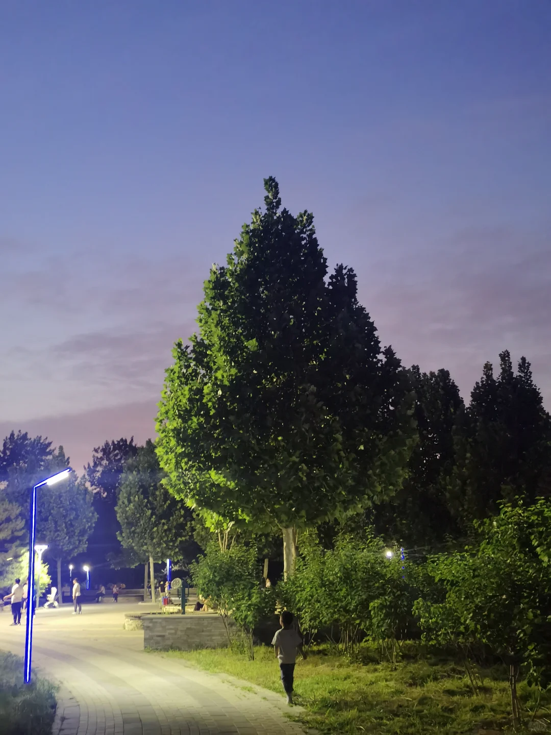 好多漂亮泳衣都是三角的,要剃毛吗