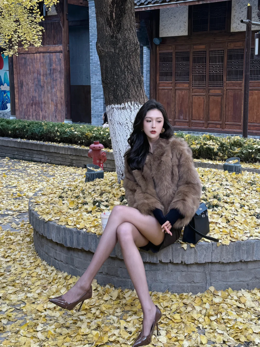 偶遇一片超美银杏地🍂