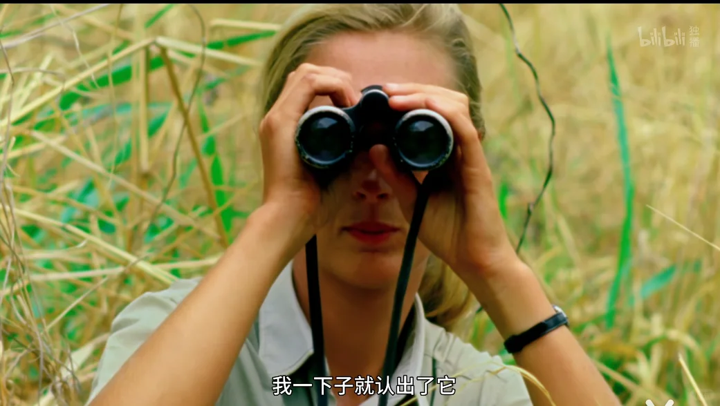 珍·古道尔的传奇一生