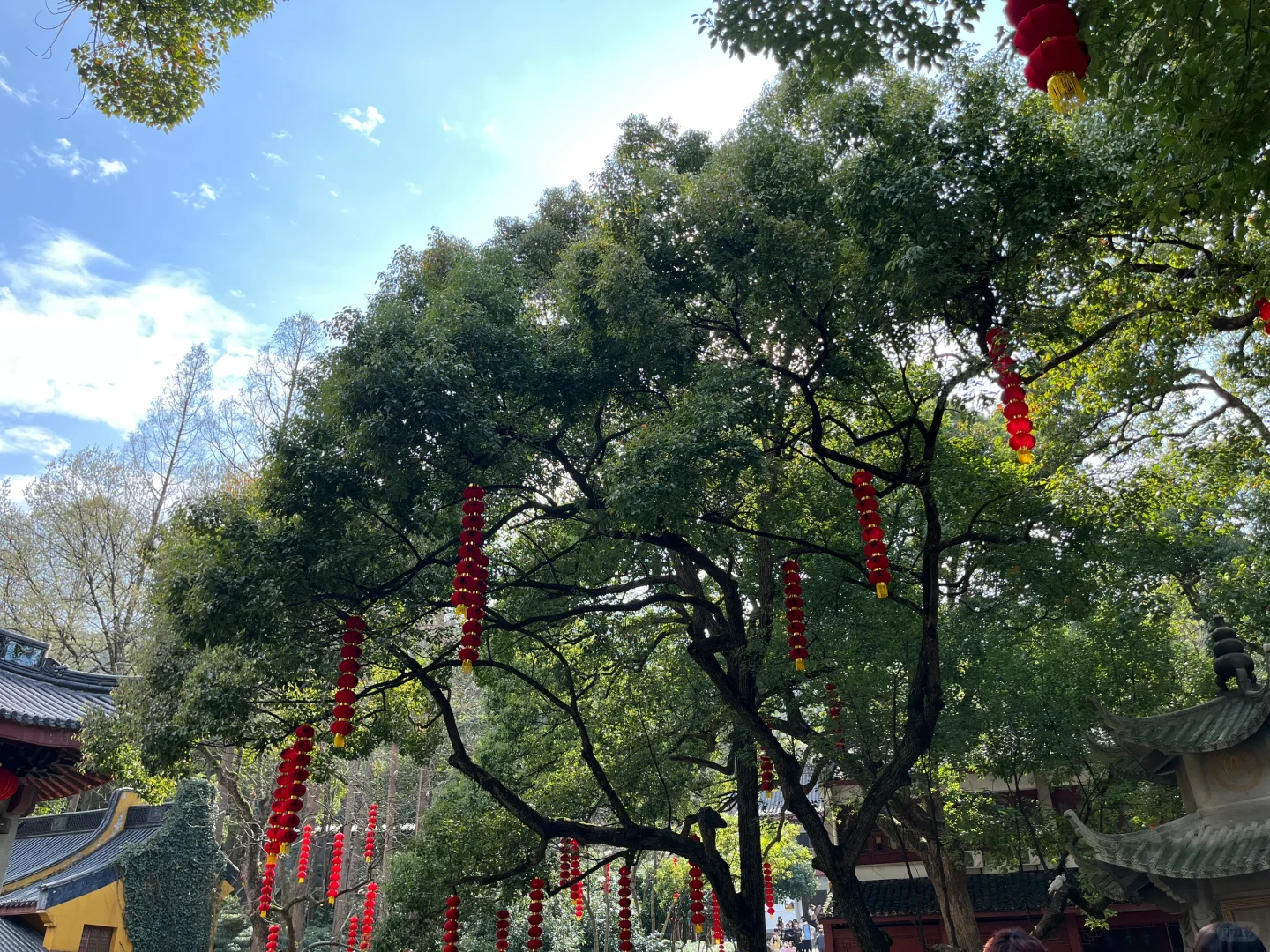 Wechat|📿莫向外求 但从心觅 📍灵隐寺