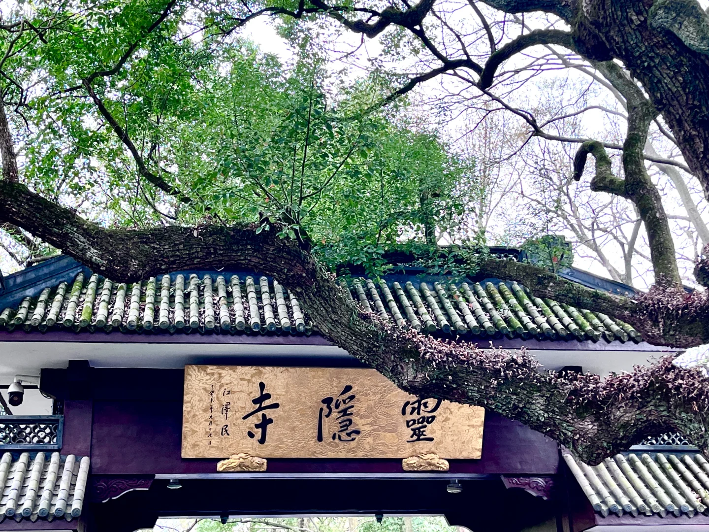 Wechat|📿莫向外求 但从心觅 📍灵隐寺
