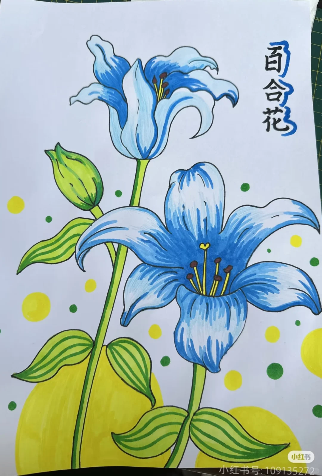 三年级美术下册《娇艳的花》作品欣赏