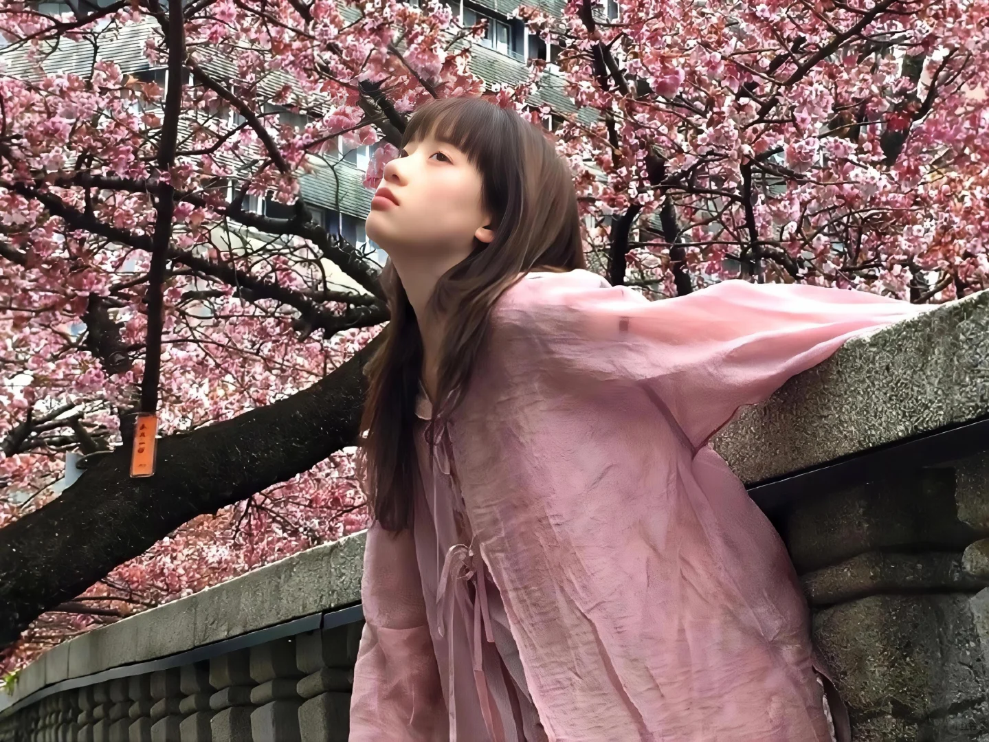 iPad·电脑壁纸|🍃樱花树下站谁都美