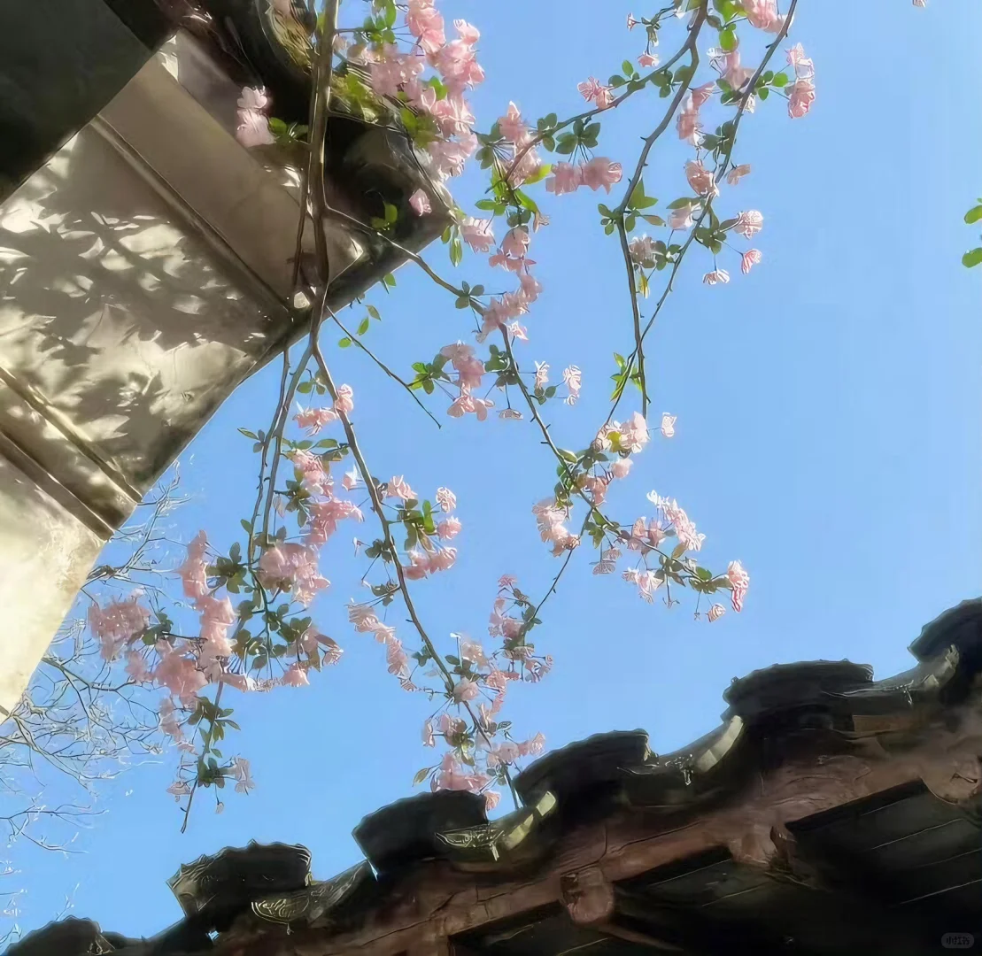 一组高级质感朋友圈背景图