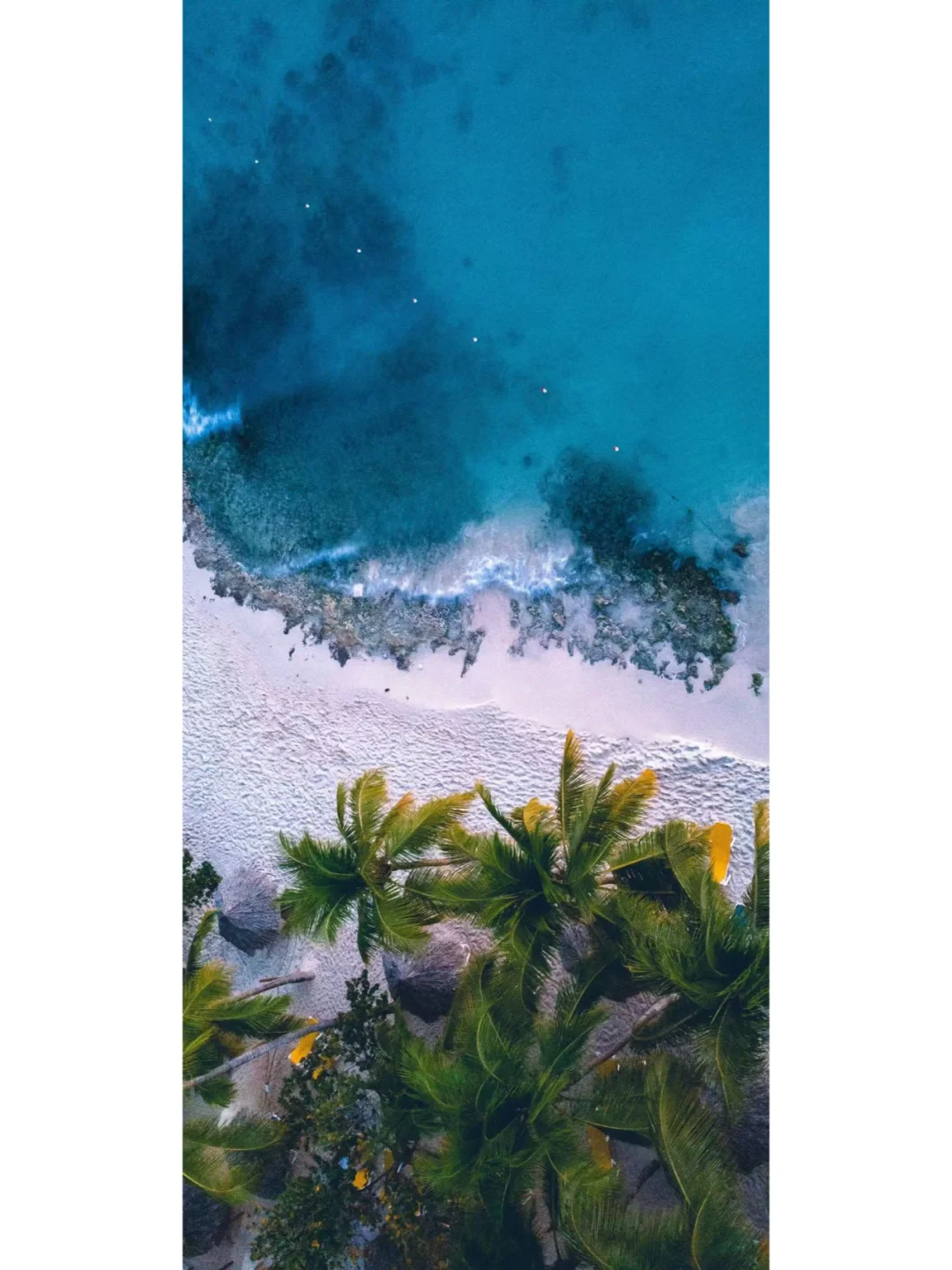 是不是该换壁纸啦~高级ins小众壁纸💐
