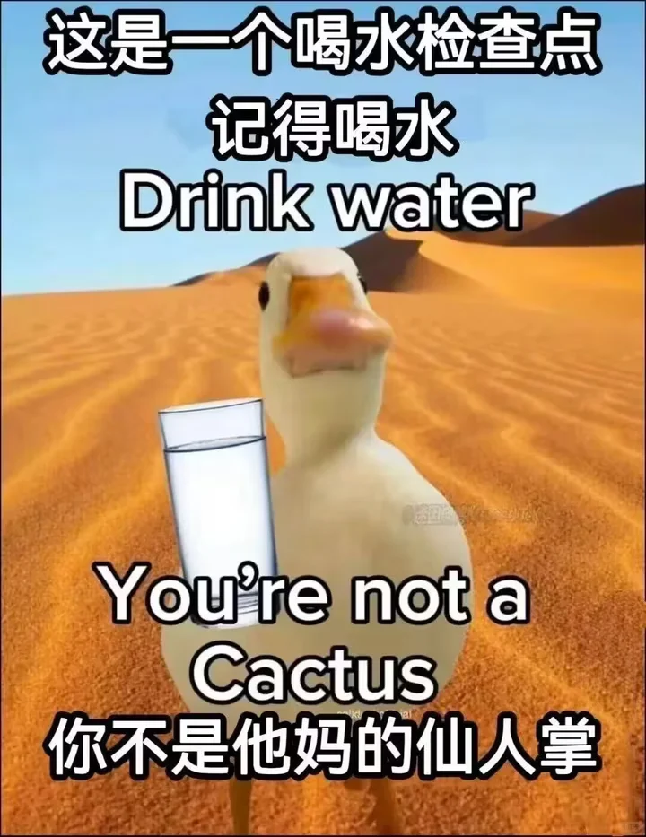 四四四丝丝丝~