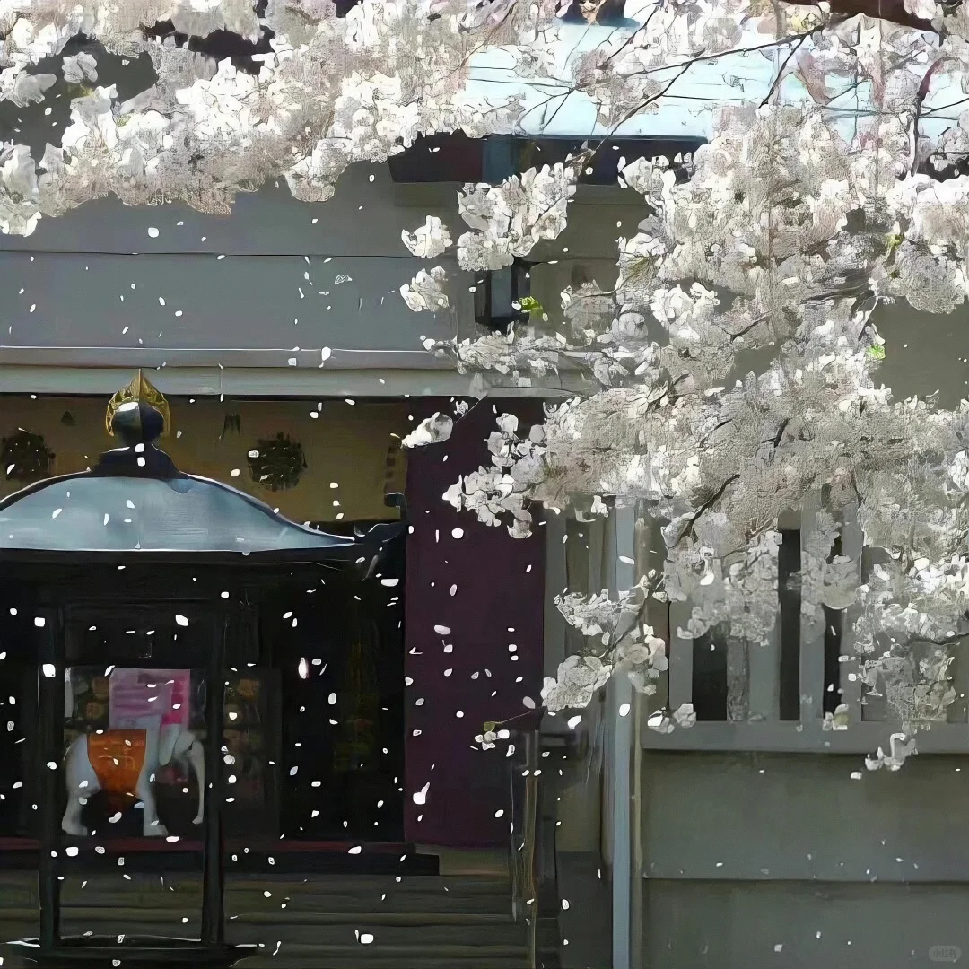 一组高级质感朋友圈背景图