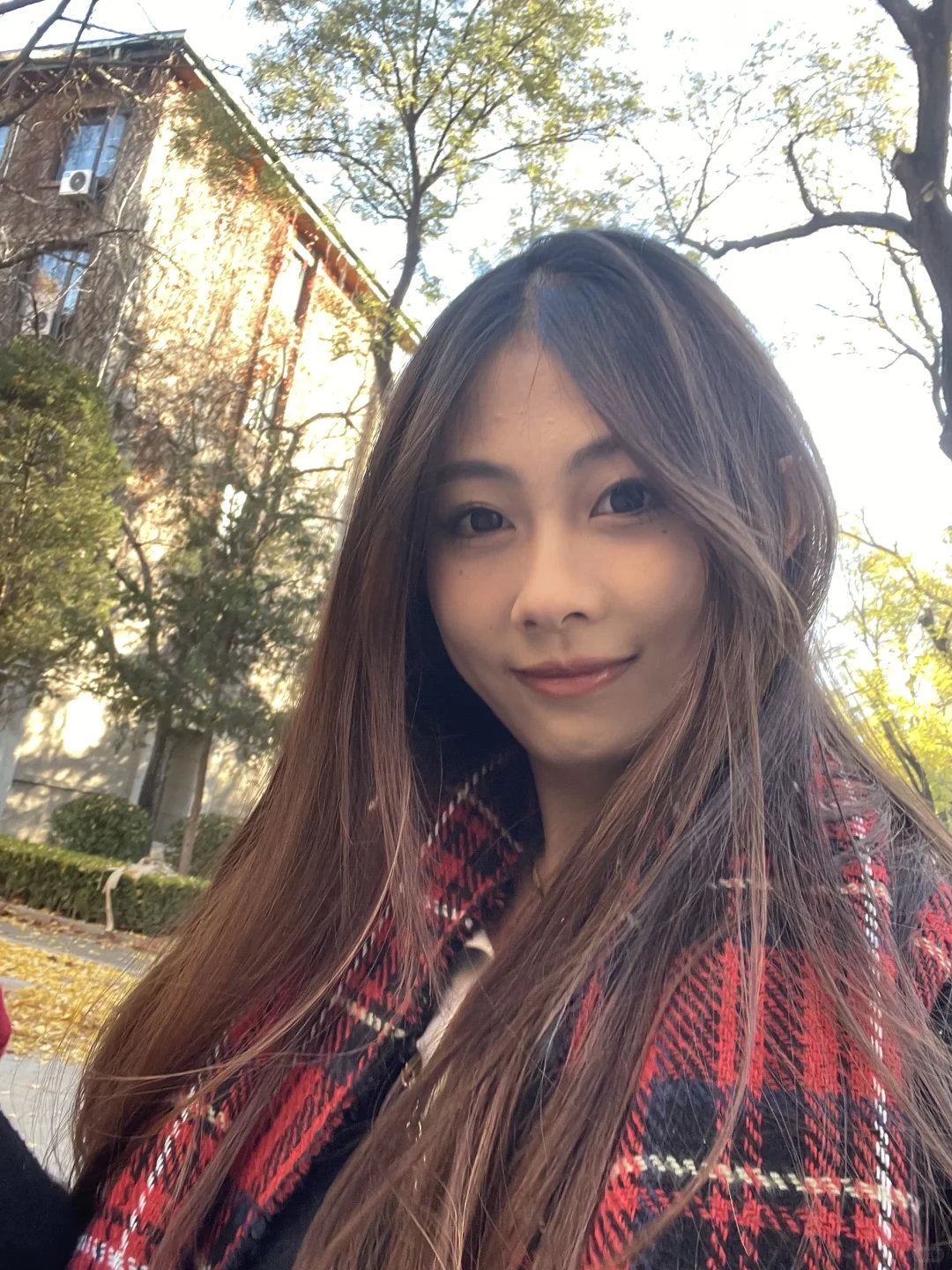 研一日记｜赶个银杏大道的末班车🚌