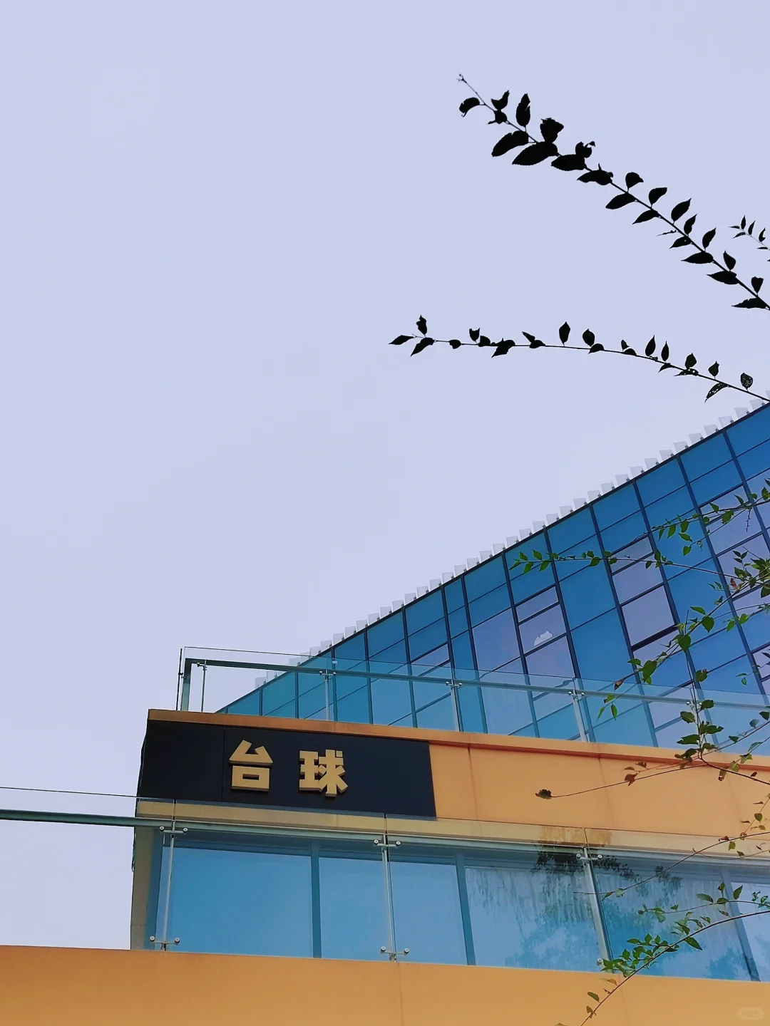 30岁+高考:这场改写命运的冒险,你敢吗?